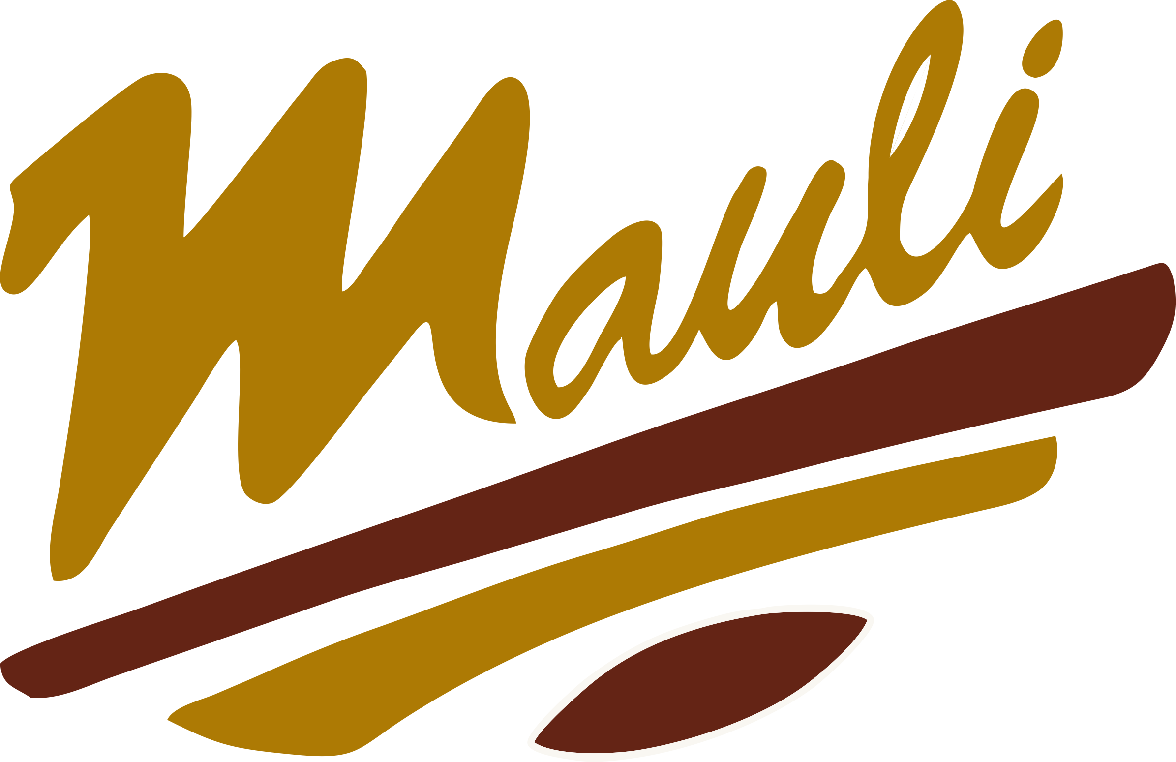 MauliSai Developers